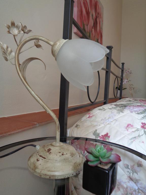 Affittacamere La Camelia ルッカ エクステリア 写真