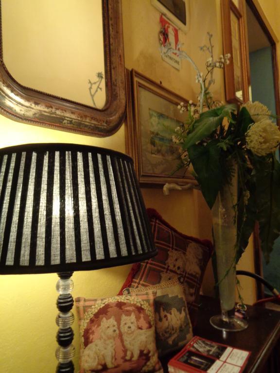 Affittacamere La Camelia ルッカ エクステリア 写真