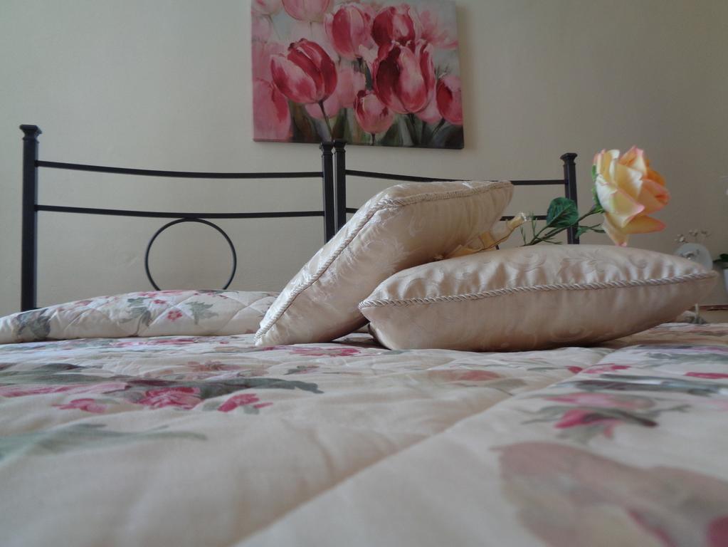 Affittacamere La Camelia ルッカ エクステリア 写真